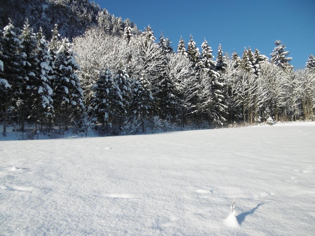 Ferienwohnung Zillertal Bacher Schlitters Eksteriør billede